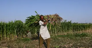 মধ্যপ্রাচ্য যুদ্ধের প্রভাবে উন্নয়নশীল দেশে খাদ্যের দাম বাড়ার শঙ্কা